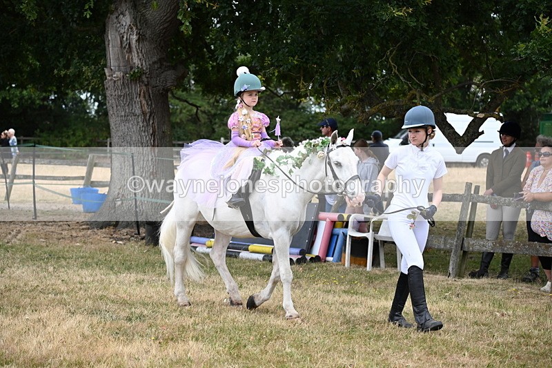 WJ6_4626 - Class 11 Fancy Dress
