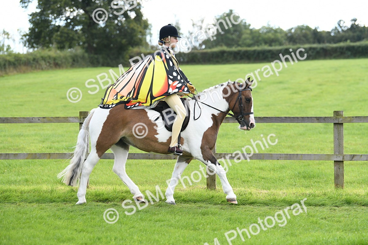 SBM_46743 - S12 - Family Horse & Pony