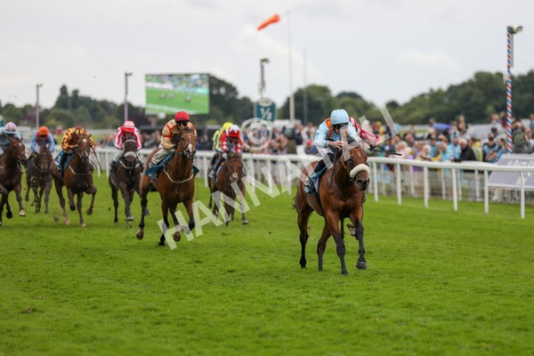 150624-Race 5-The Strikin Viking-6190 - Race 5 4.10pm Reg Griffin Appreciation ebfstallions.com Maiden Stakes