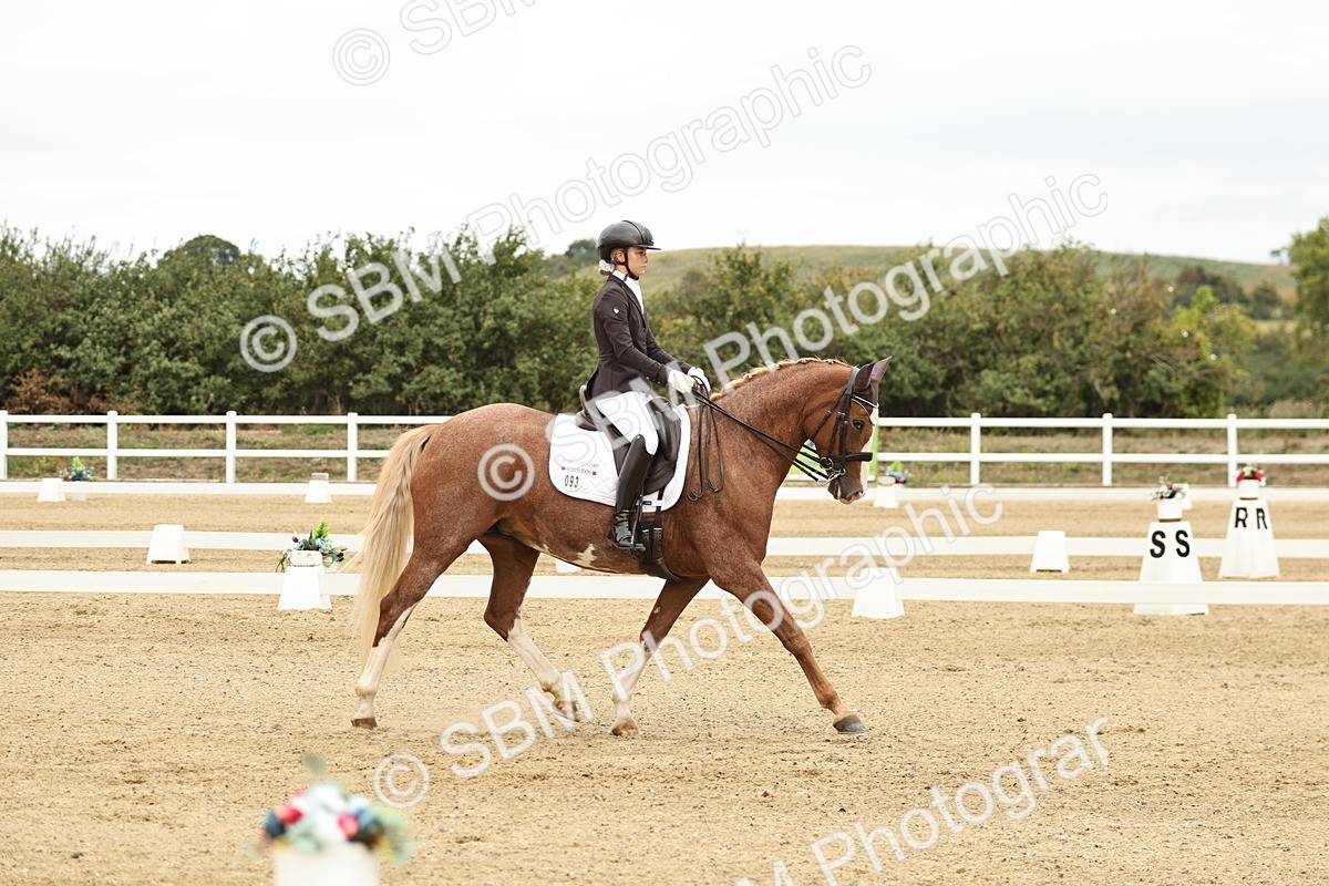 SBM_006530 - Class 21 - Medium 5 Bronze - 9.08-9.48