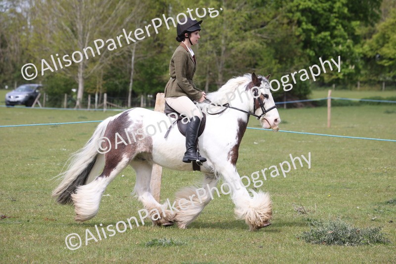 20260426-2946 - Class 33 - Best Pony 14.2hh and Under