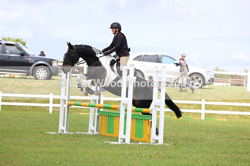 3E7A7337 - Class 13: Senior British Novice/90cm open