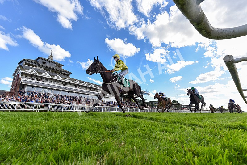 160624-Race 4-Align The Stars-2-3 - Race 4