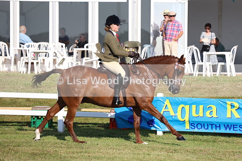 3E7A5091 - Class 1: Rising Star Small Hack/Riding Horses