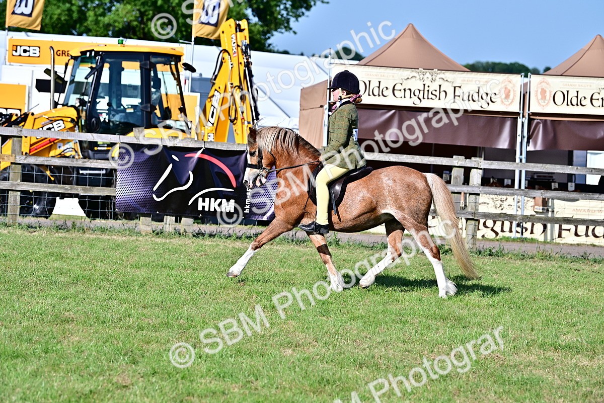 SBM_19856 - Class 103 - 105 - TSR Ridden Amateur of the Year Plaited Ponies