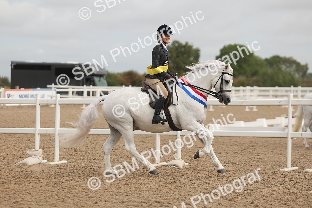 SBM_02031 - Class 14 - Ridden M&M Wildcard