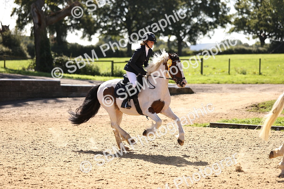 SBM_38621 - J39 - Senior 85cm Championship