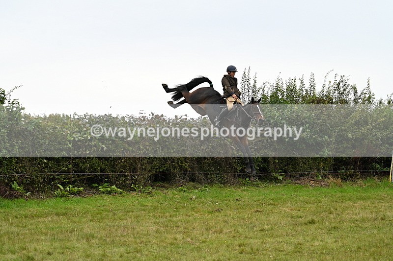 WJ7_4135 - Camera 1 Line 2