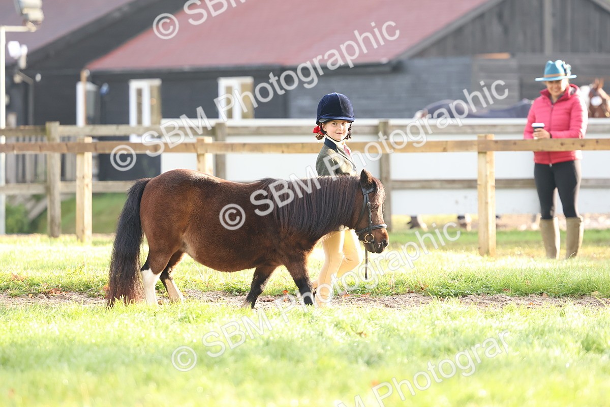 SBM_54745 - S39 - Starters In Hand Showing