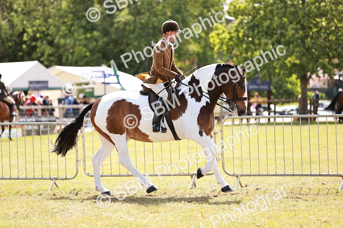 SBM_14017 - Class 85-87 - RIHS Cobs