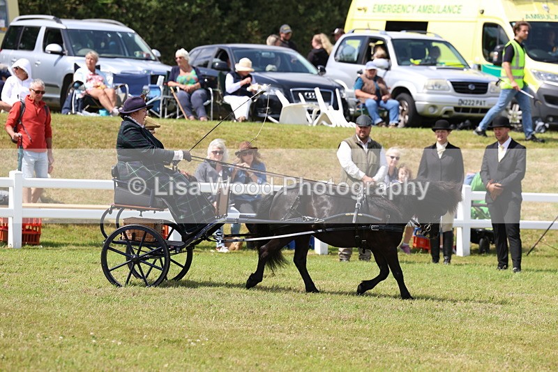 3E7A2673 - Class 12: Open Driving