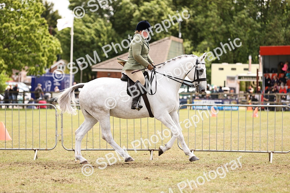 SBM_14668 - Class 88-89 - LIHS BSHA Rising Star of Ridden Hunter Type