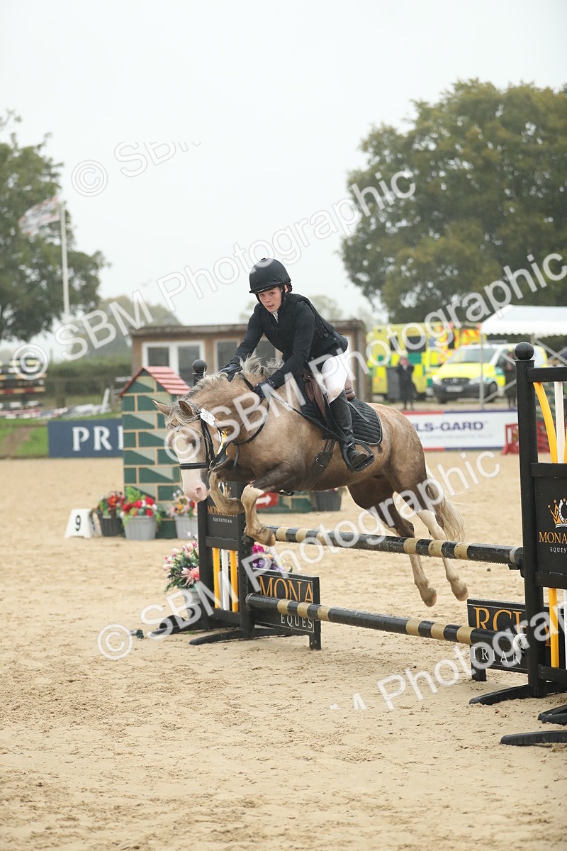 SBM_74261 - Supreme championship Junior Pony 70cm 75cm