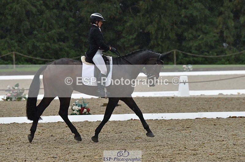 231018-154310-00858 - 012-ROMANY.CRICKET-Nana.Dalton-DR