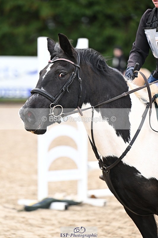 260222A-114242-00698 - 50cm All sections