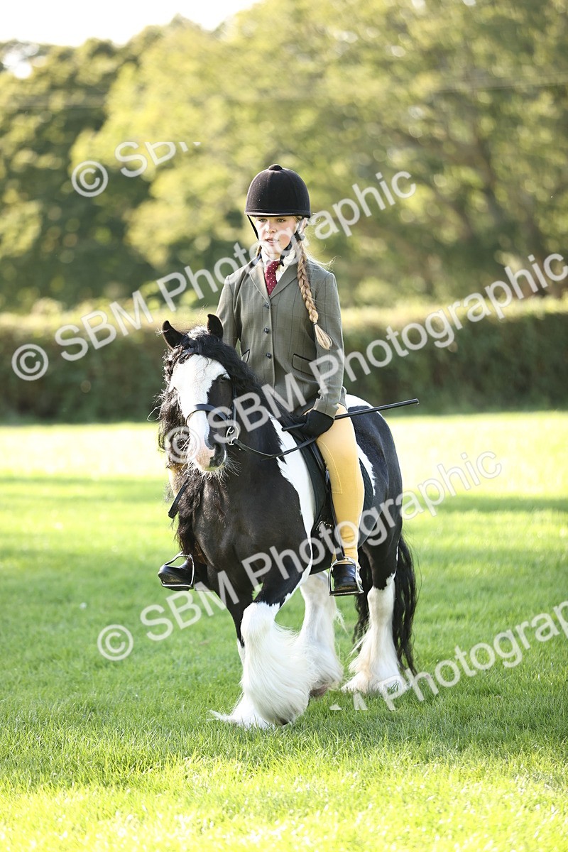 SBM_29353 - S7 - Novice & Newcomers Ridden Pony