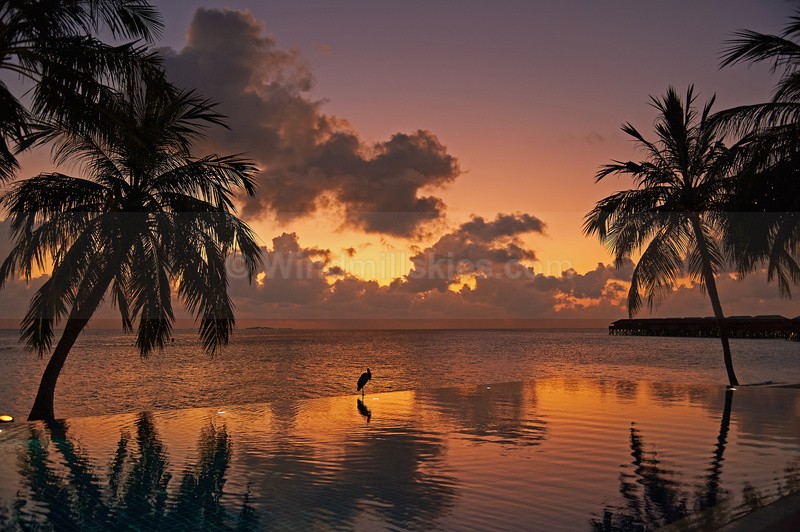  - Maldives