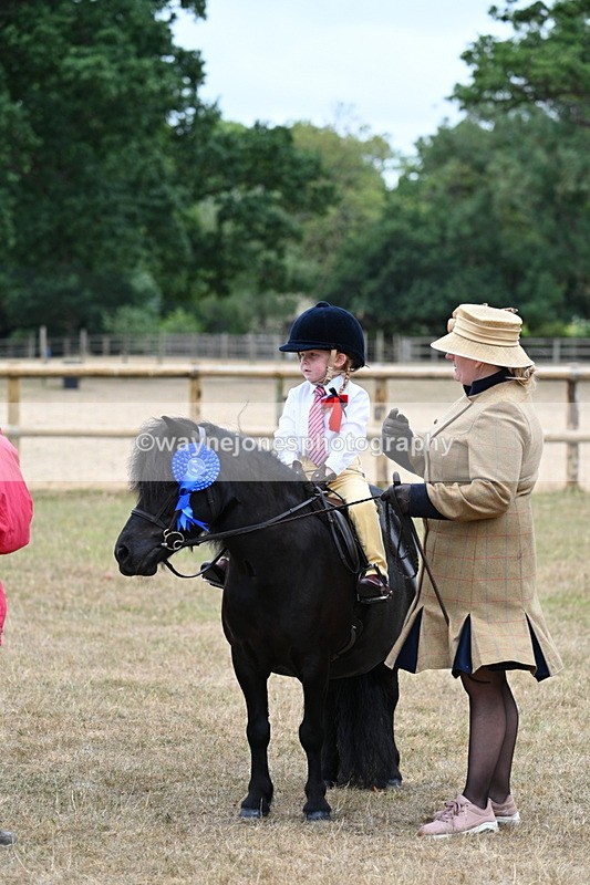 WJ7_8595 - Class 4 Prettiest Mare up to 14.2hh