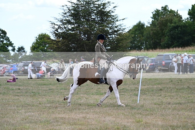 WJ7_5213 - Class 12 Ridden Cob