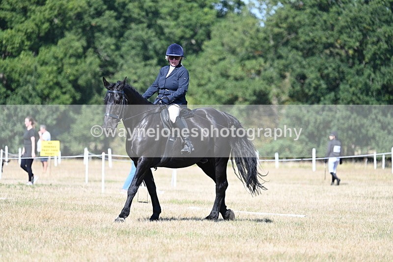 WJ7_9949 - Time 11:03 to 11:28