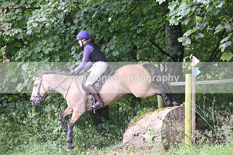 WJ7_8177 - Time 14:11 to 14:30