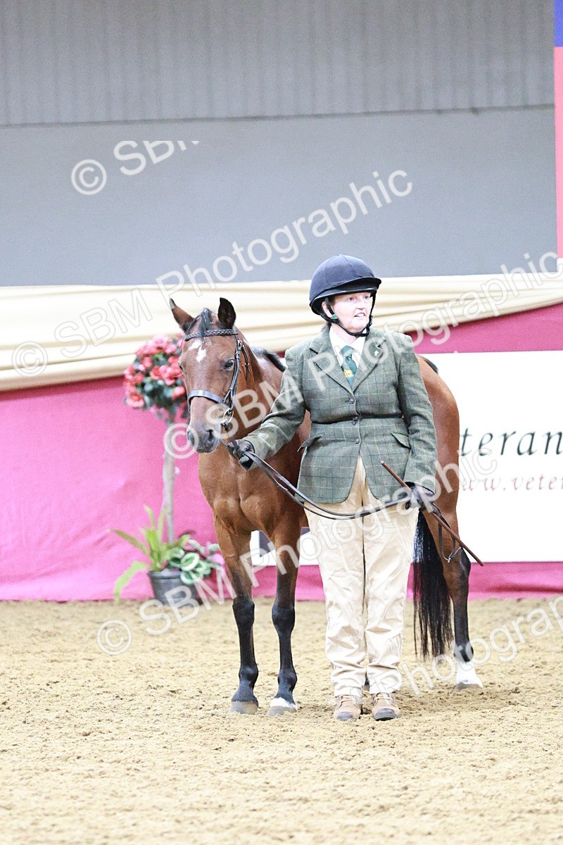 SBM_00313 - Class 1A - Area IH Diamond