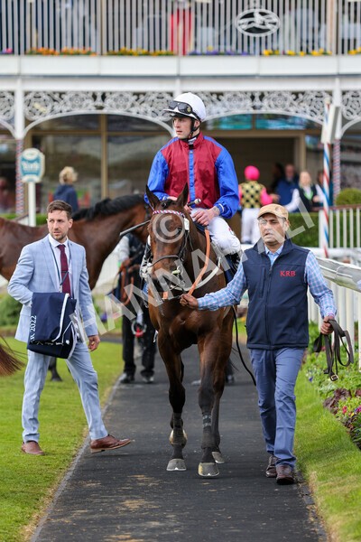 yr13052022r7-53 - Race 7 5.15pm Longines Irish Champions Weekend Stakes