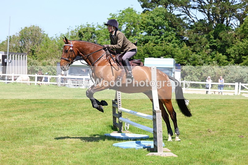 3E7A7455 - Class 31: Working Hunter Cob/Riding Horse