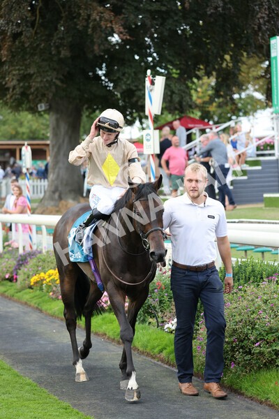 yr04092022r7-36 - Race 7 5.15pm Firmament Stakes