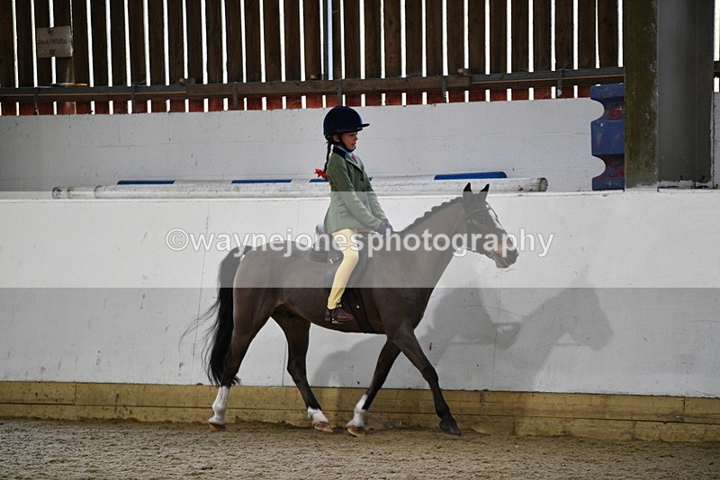 WJ5_7198 - Class 11 Ridden PC - RC Pony