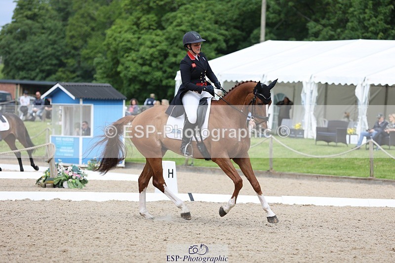 240524-103710-07461 - 263-CHILLI_MORNING_IV-Gemma_Stevens