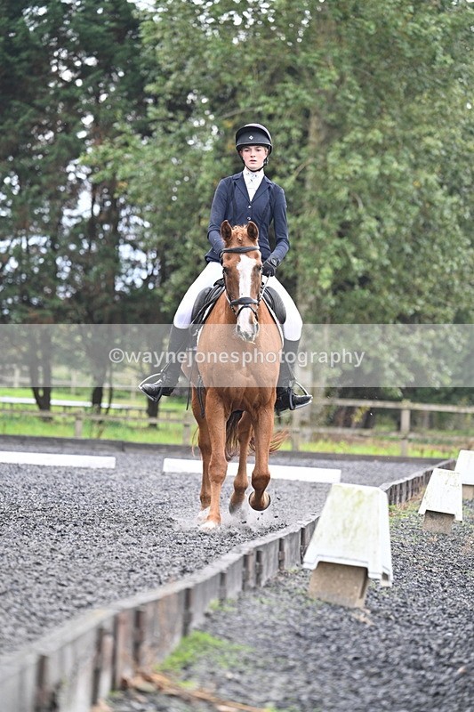 WJ7_6682 - Time 14:49 to 15:14