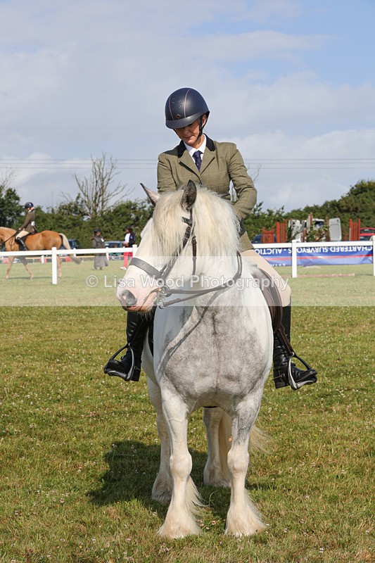 1X9A3417 - Class 28: Ridden Native/Trad Coloured Pony