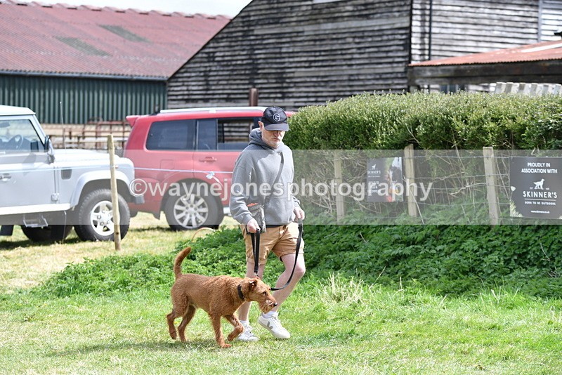 WJ5_9640 - Class 3 Most Handsome Dog