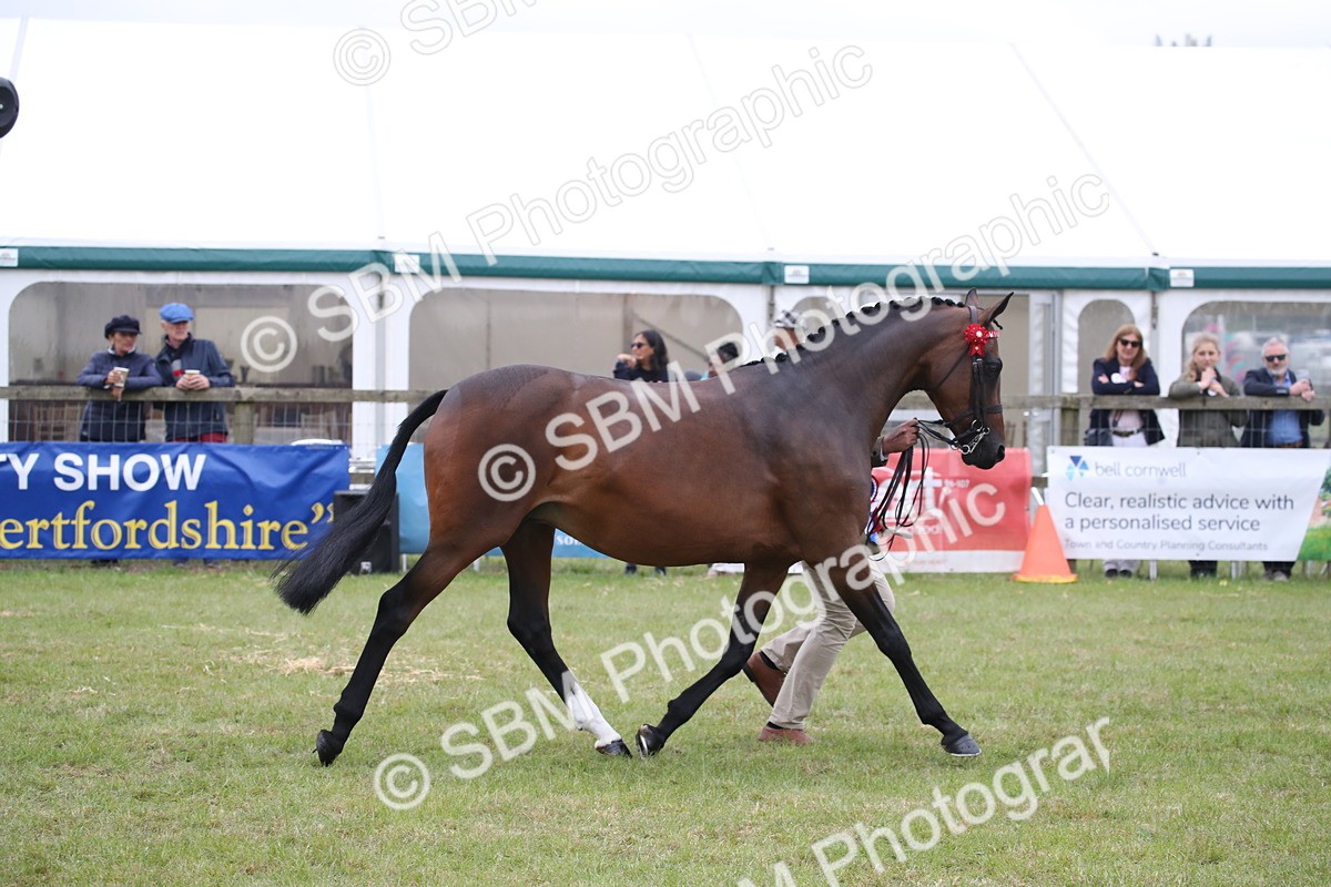 SBM_09845 - Ch 50 - Price Family Supreme In Hand