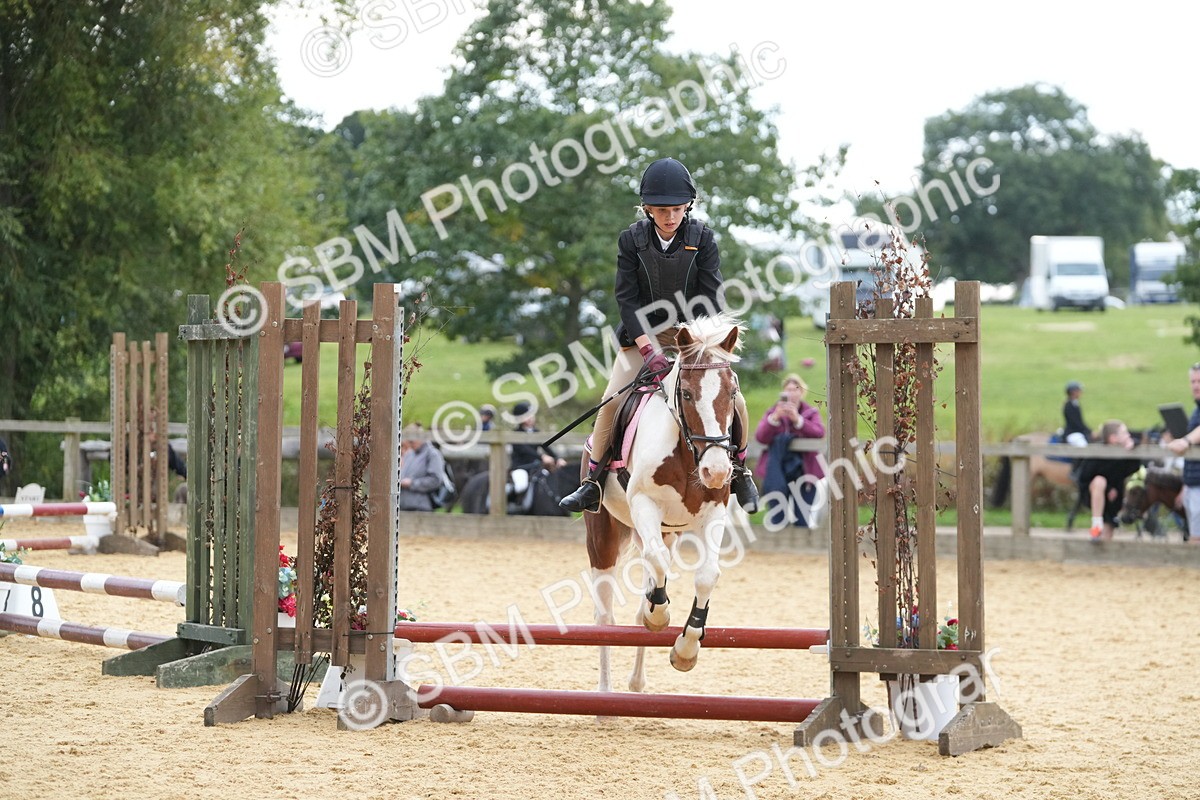 SBM_74673 - J4 - Mini Tour Junior Pony 45cm Championship
