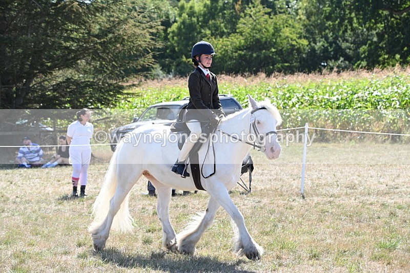 WJ6_8984 - Class 38 Ridden Riding Horse/Pony