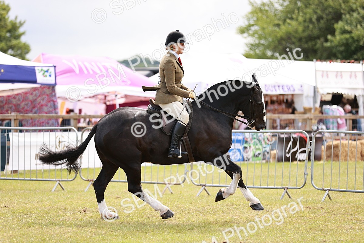 SBM_13091 - Class 85-87 - RIHS Cobs