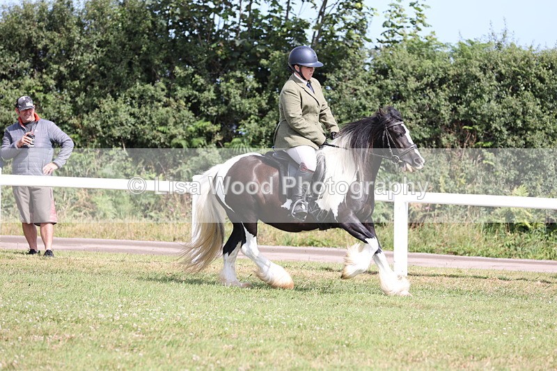 JPP_1166 - Class 17: Cornish Combination Open
