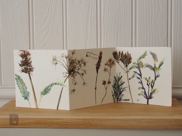 Seeds and Rosemary - Summer Light