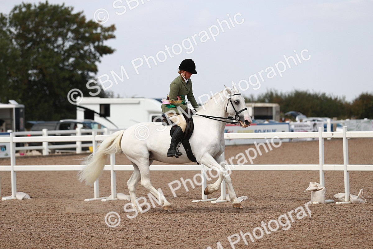 SBM_14944 - Class 212 Ridden Hunter - Small