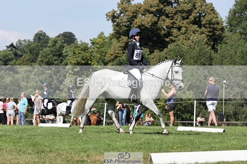 250823A-115611-29343 - Arena D