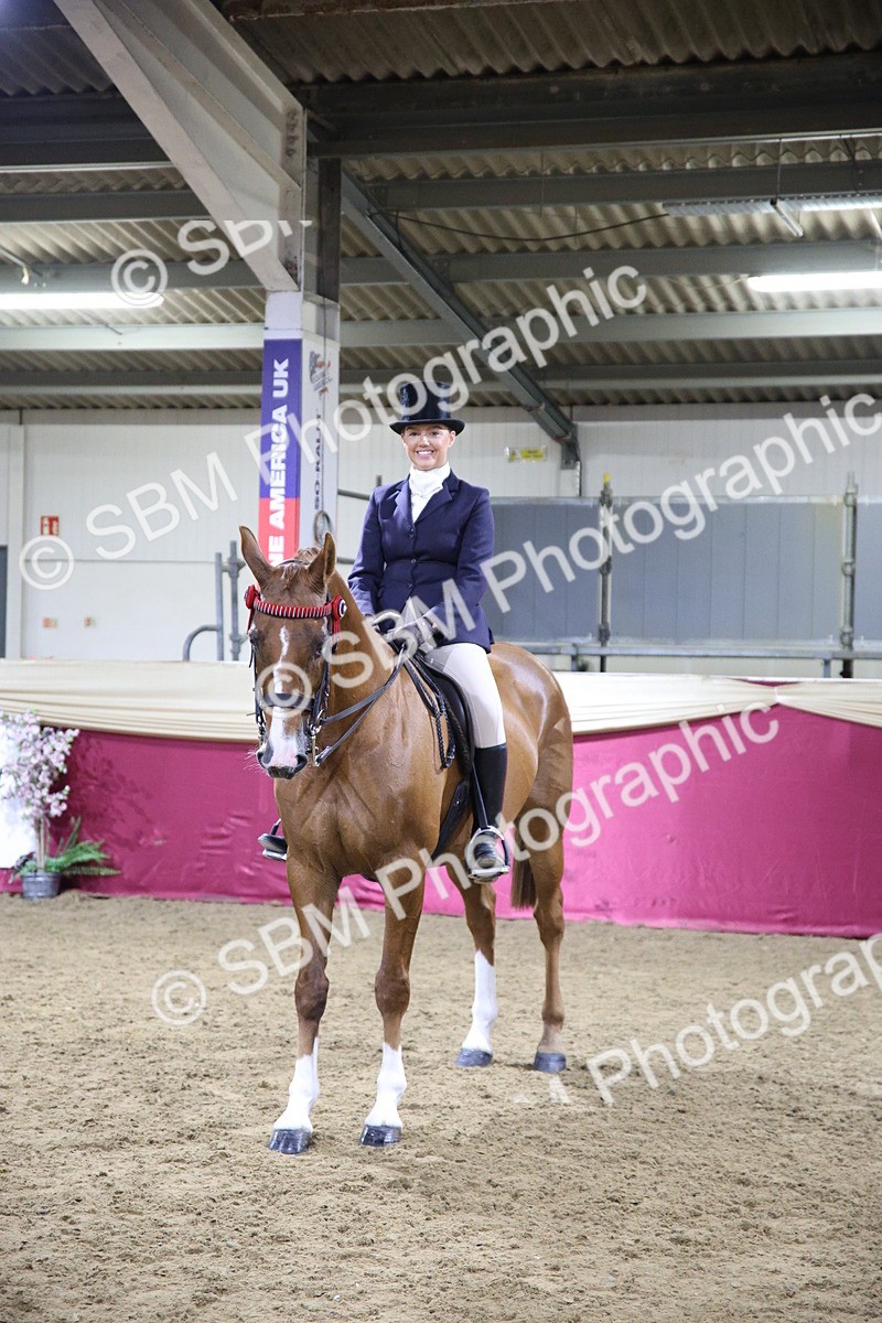 5K7A1563 - Class O Ridden Show Horse Champ