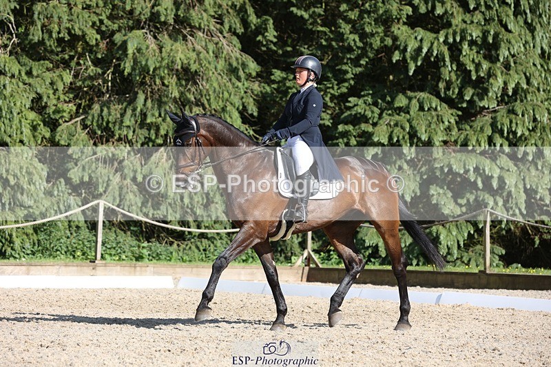 230526-172326-07965 - 178-RIDIRE_DORCHA-Lucy_Stimson-WEDTrotUp+DR