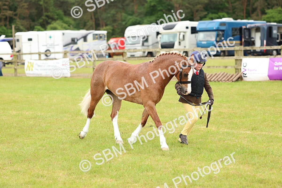 SBM_10291 - Class 44-45 - LIHS BSPS Open Nursery and Cradle Stakes