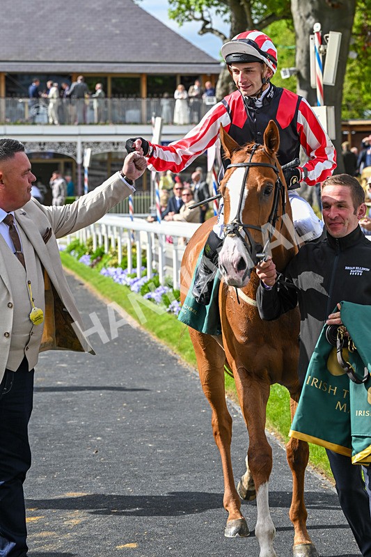 150526-Race 6-Fortification-8532 - Race 6 4.40pm Irish Thoroughbred Marketing Handicap