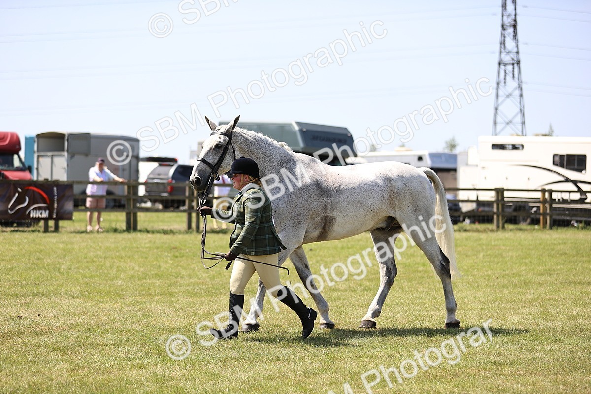 SBM_16175 - Class 79-80 - LIHS BSHA Rising Star Ridden Hunter