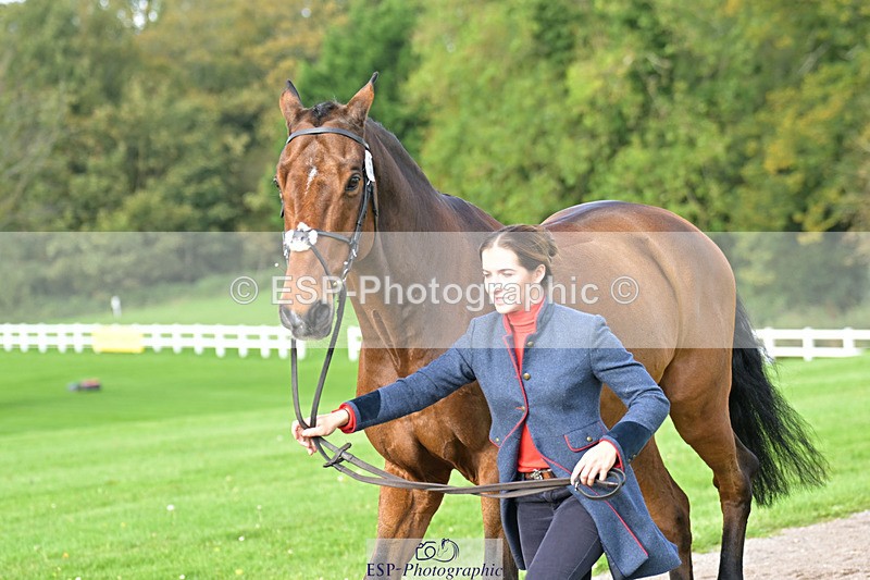 241023-132702-00300 - 053-Lois.Teal-Z7.CATASTROPHE