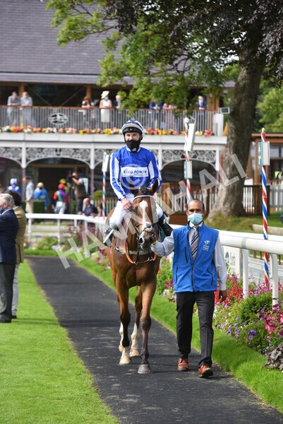 yr10072021r5-37 - Race 5: 4.05pm John Smith's Cup