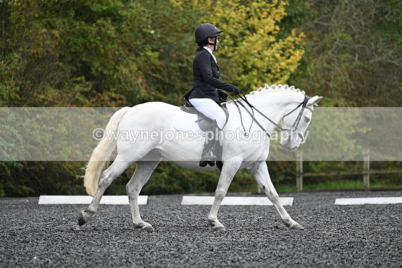 WJ7_4237 - Time 11:43 to 12:09